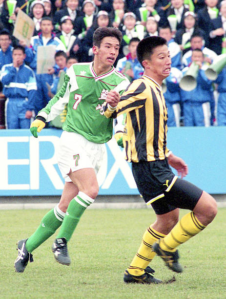 提供了更高 提供了更高